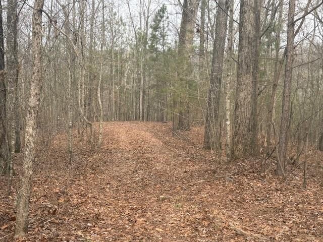 Lot 2 Swan Bridge Road, Talking Rock, GA 30175