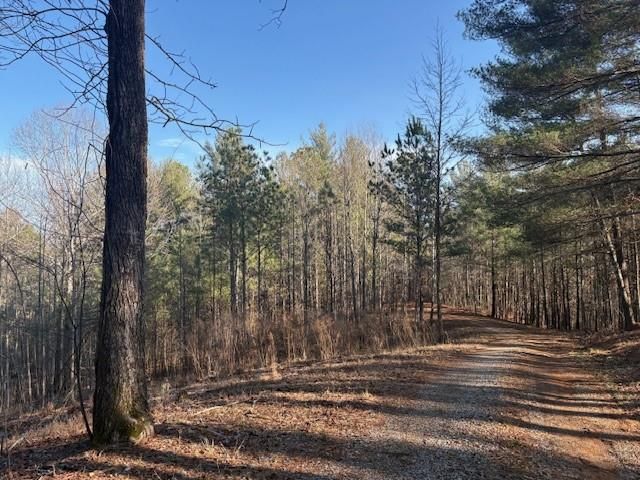 Lot 2 Swan Bridge Road, Talking Rock, GA 30175