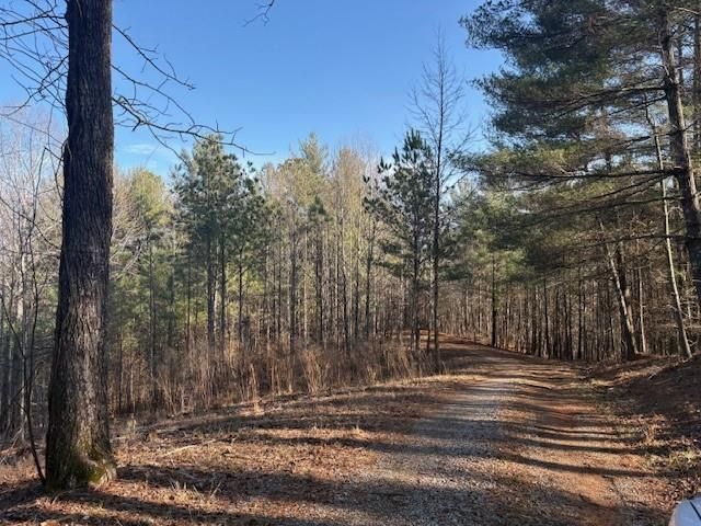 Lot 2 Swan Bridge Road, Talking Rock, GA 30175
