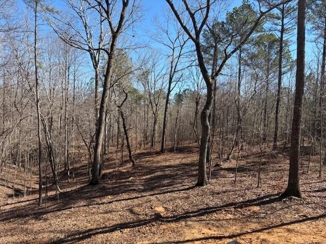 Lot 2 Swan Bridge Road, Talking Rock, GA 30175