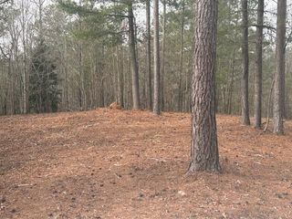 Lot 2 Swan Bridge Road, Talking Rock, GA 30175