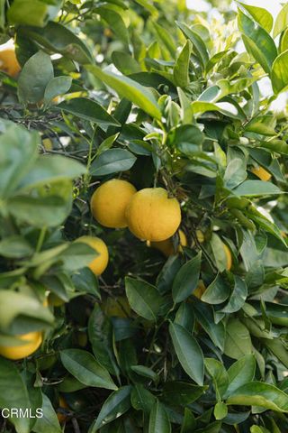 12 Isabel Avenue 83, Camarillo, CA 93012