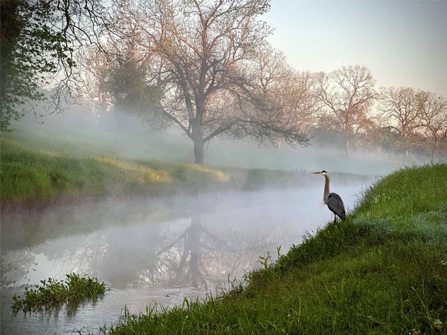 31119 Riverlake Road, Fulshear, TX 77441