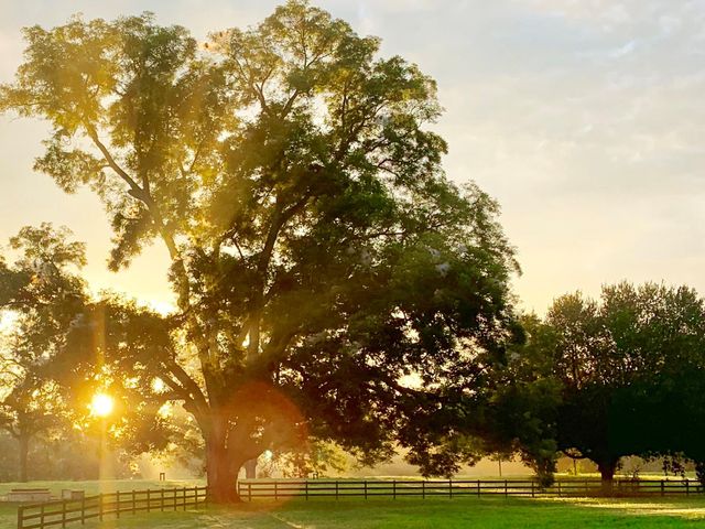 31119 Riverlake Road, Fulshear, TX 77441