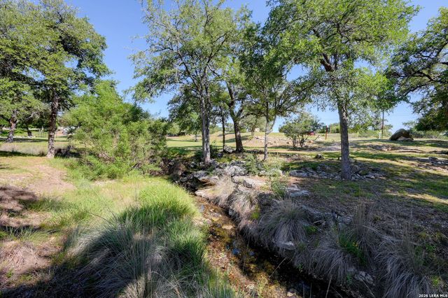 107 Savannah Ct, Blanco, TX 78606