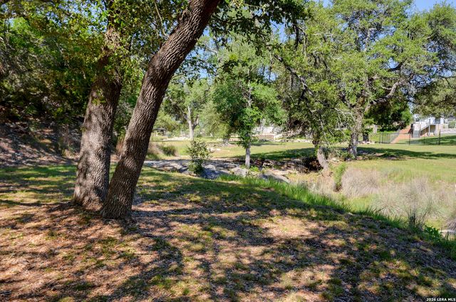 107 Savannah Ct, Blanco, TX 78606