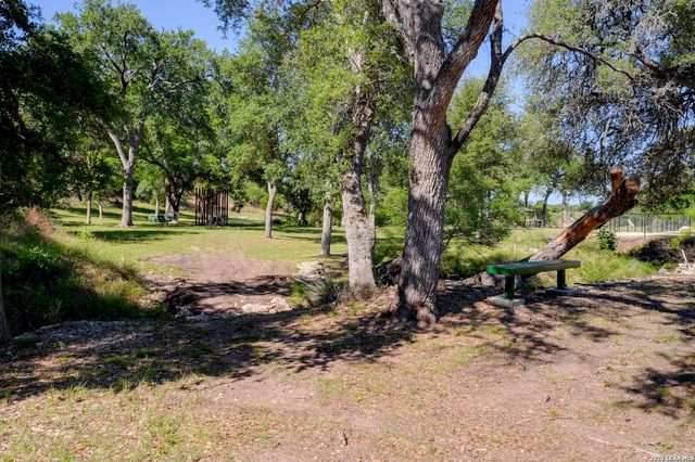107 Savannah Ct, Blanco, TX 78606