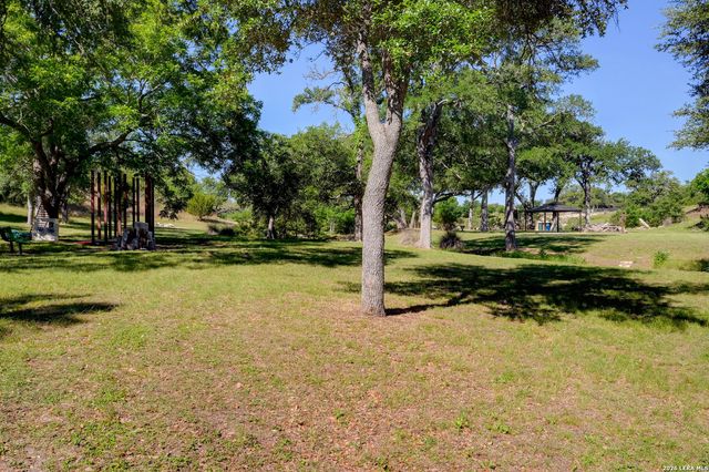 107 Savannah Ct, Blanco, TX 78606