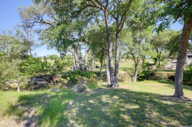 107 Savannah Ct, Blanco, TX 78606