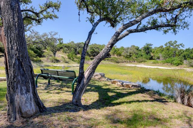 107 Savannah Ct, Blanco, TX 78606