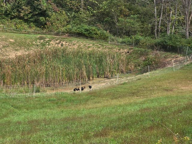 7408 N 11 Highway, Girdler, KY 40943