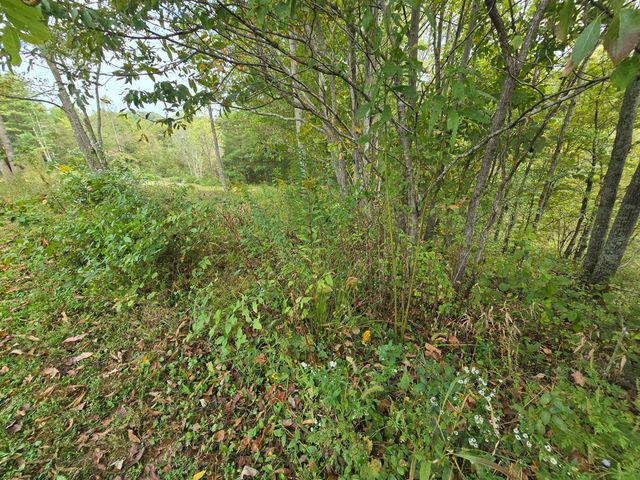 7408 N 11 Highway, Girdler, KY 40943