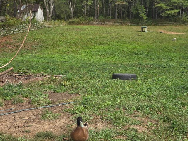 7408 N 11 Highway, Girdler, KY 40943