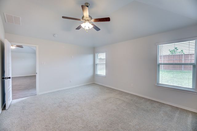 11436 Alpine Springs Drive, Aubrey, TX 76227