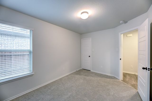11436 Alpine Springs Drive, Aubrey, TX 76227