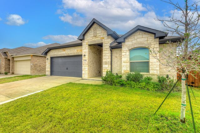 11436 Alpine Springs Drive, Aubrey, TX 76227