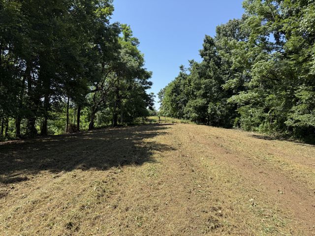 0 Joy, Mount Pleasant, TN 38474