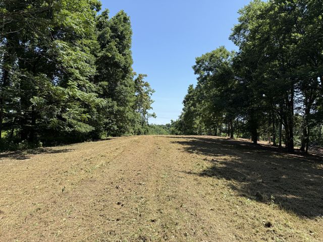 0 Joy, Mount Pleasant, TN 38474