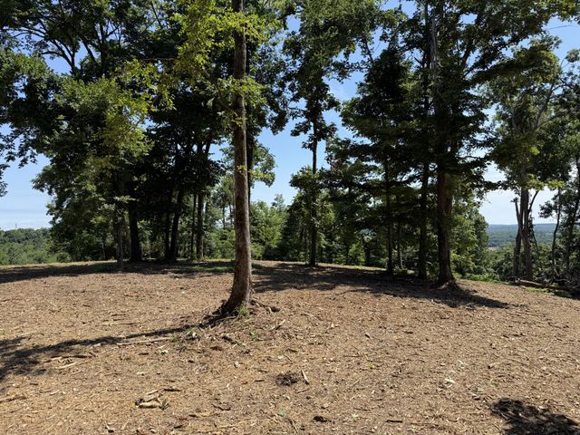0 Joy, Mount Pleasant, TN 38474