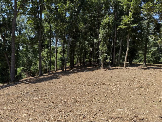 0 Joy, Mount Pleasant, TN 38474