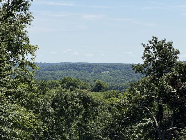 0 Joy, Mount Pleasant, TN 38474