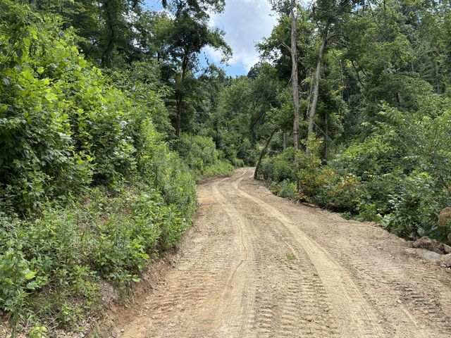 0 Joy, Mount Pleasant, TN 38474