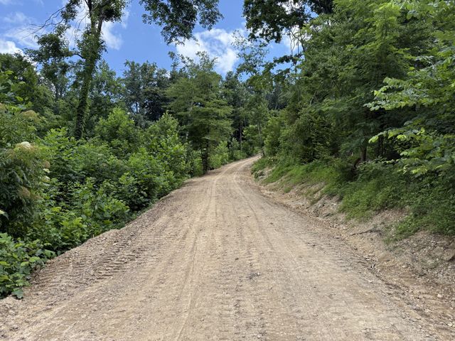 0 Joy, Mount Pleasant, TN 38474