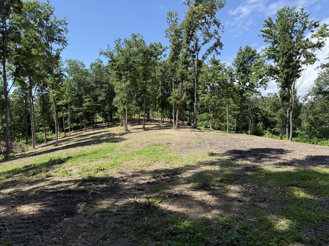 0 Joy, Mount Pleasant, TN 38474