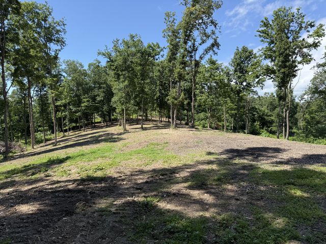 0 Joy, Mount Pleasant, TN 38474