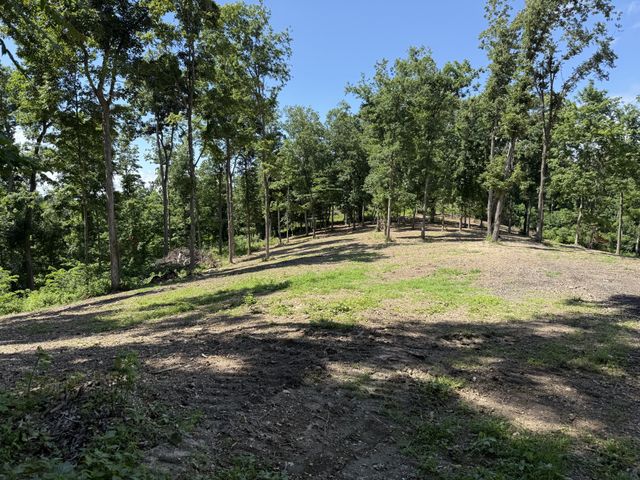 0 Joy, Mount Pleasant, TN 38474