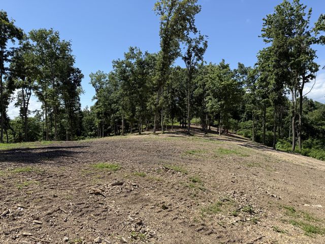 0 Joy, Mount Pleasant, TN 38474