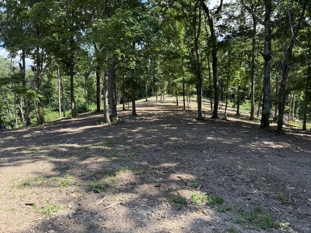 0 Joy, Mount Pleasant, TN 38474