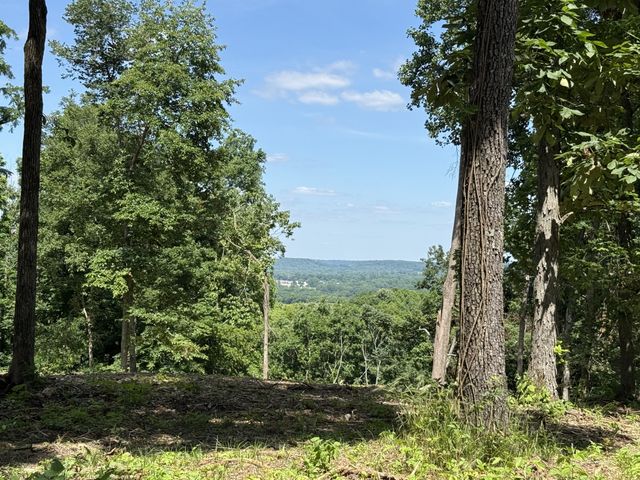 0 Joy, Mount Pleasant, TN 38474