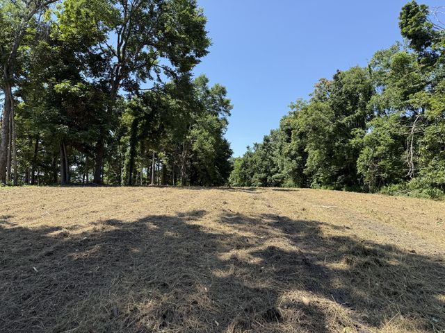 0 Joy, Mount Pleasant, TN 38474