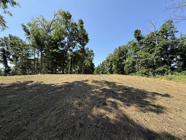 0 Joy, Mount Pleasant, TN 38474