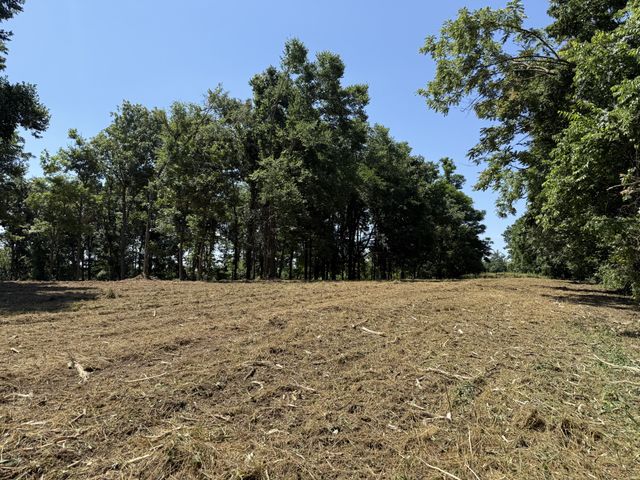 0 Joy, Mount Pleasant, TN 38474
