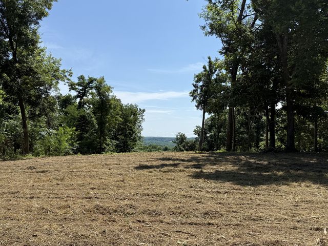 0 Joy, Mount Pleasant, TN 38474