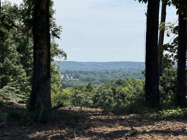 0 Joy, Mount Pleasant, TN 38474