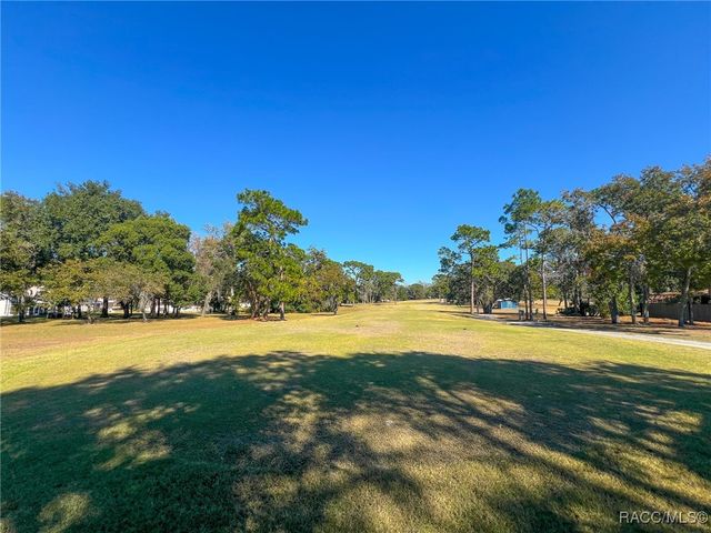 7 Bumelia Court, Homosassa, FL 34446