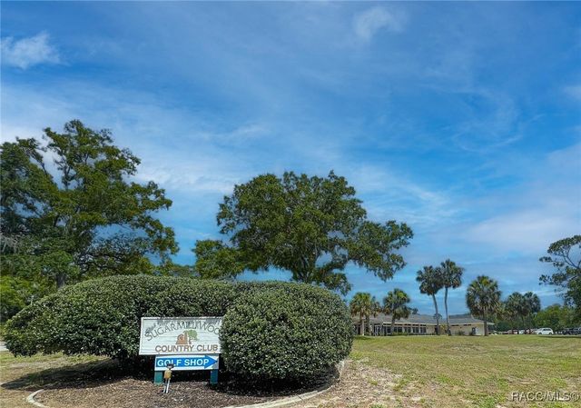 7 Bumelia Court, Homosassa, FL 34446