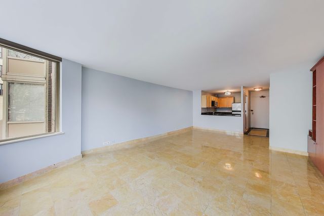 525 W HAWTHORNE Place 206, Chicago, IL 60657