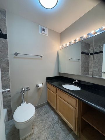 525 W HAWTHORNE Place 206, Chicago, IL 60657