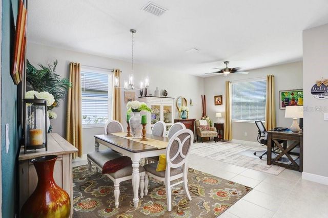 8251 TEA OLIVE TERRACE, Palmetto, FL 34221