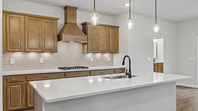 329 Harvest Point Blvd, Spring Hill, TN 37174