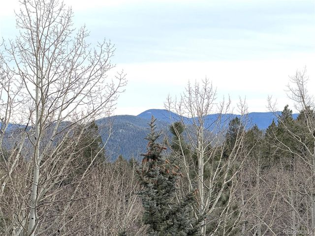 2508 Witter Gulch Road, Evergreen, CO 80439