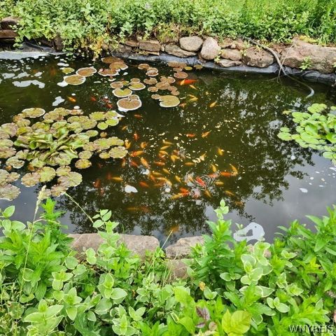 151 Worthy Avenue, Ridgeway, NY 14103