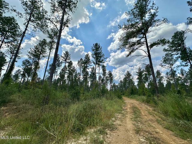 6145 Dry Grove Road, Terry, MS 39170