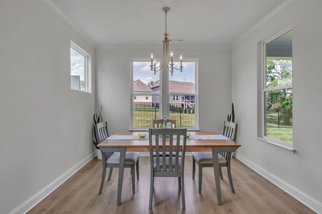 1421 Proprietors Pl, Murfreesboro, TN 37128