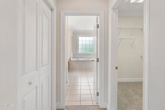108 Strawberry Field Drive, Johnson City, TN 37604