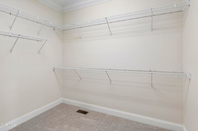 108 Strawberry Field Drive, Johnson City, TN 37604